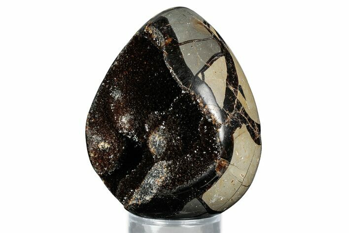 Septarian Dragon Egg Geode - Sparkly Black Crystals #336448